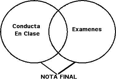notas